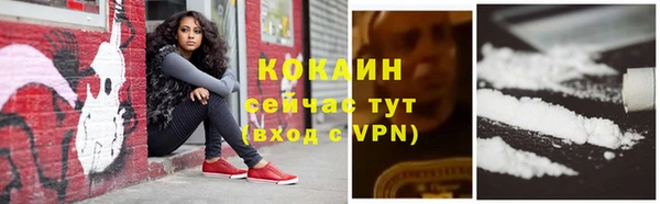 прущие крисы Аркадак